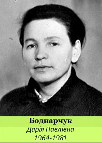 боднарчук д